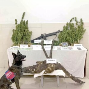 uyusturucu ve kacak avcilikla tutuklama 3vb3Lvku