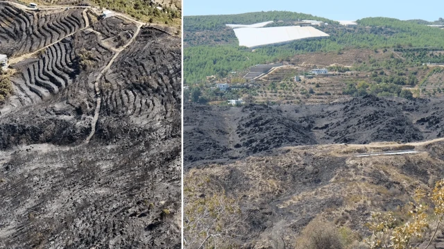 aci bilanco ortaya cikti antalyadaki orman yanginlarinin ardindan geriye gri manzara kaldi bin 350 hektar alan zarar gordu 4XrlHNgX