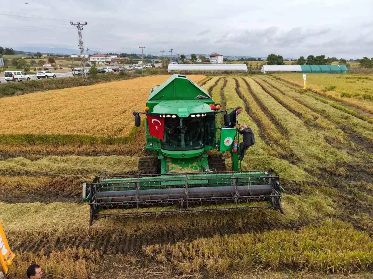 bafra ovasinda celtik hasadi coskuyla basladi R7f1fFz7