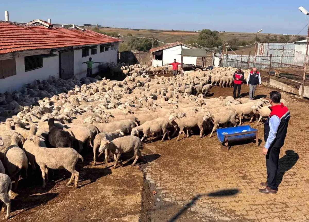 tekirdag tarim ve orman il muduru ciftcileri ziyaret etti LJh9CJ7K.jpg