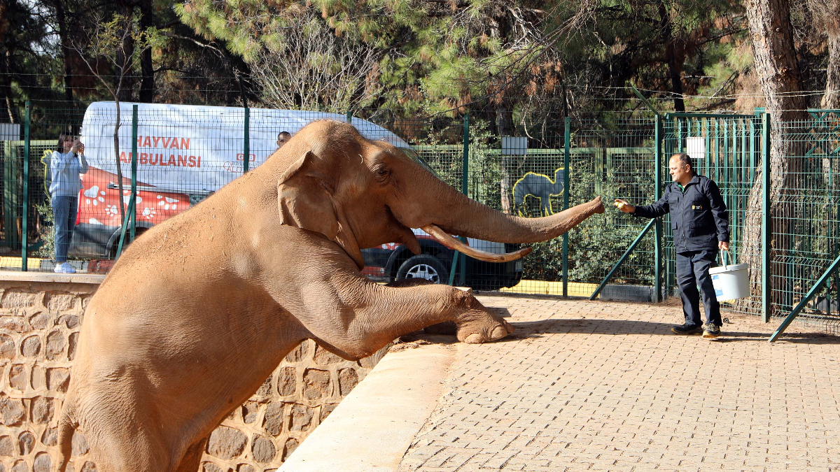 turkiyenin en buyuk hayvanat bahcesi kisa hazir GIvSKgzC.jpg