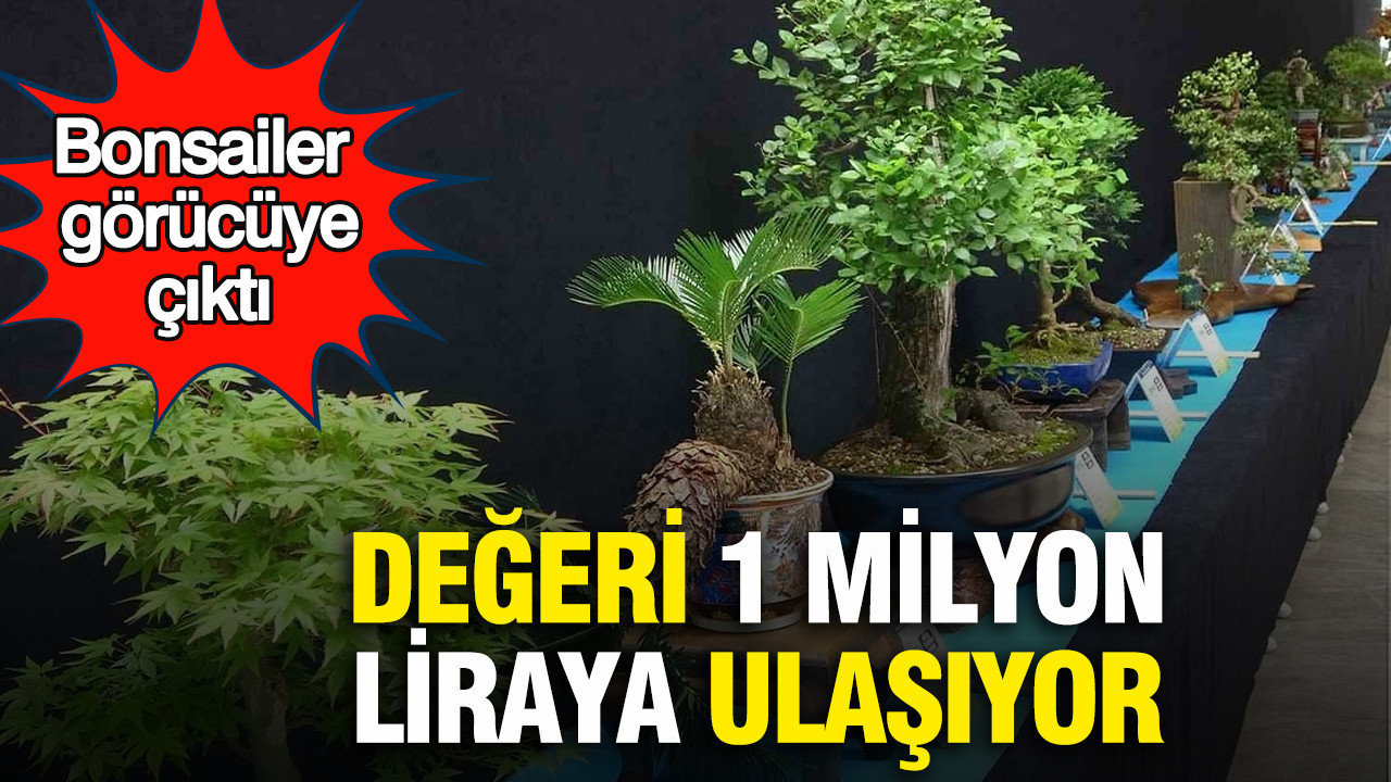 İstanbul Surlarında İkinci Cinayet Girişimi Engellendi! Semih Çelik’in İzleri